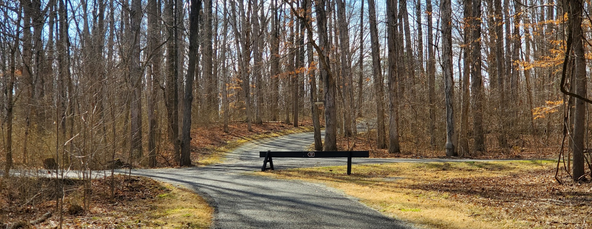 March Family Hike & Craft